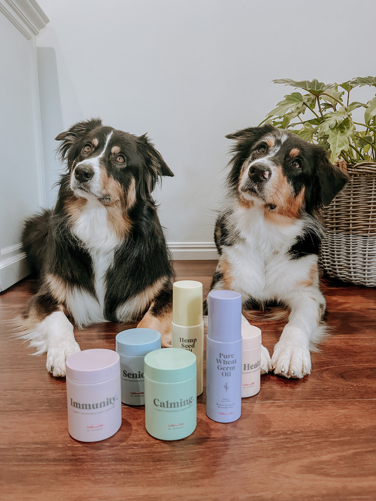 Laila and Me - 全套保健套裝 Ultimate Supplement and Oil Bundle