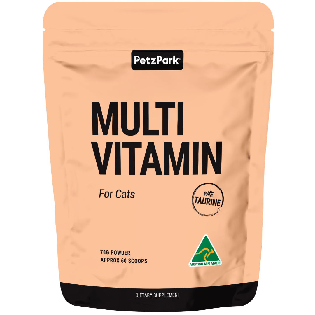 貓咪專區 For Cats