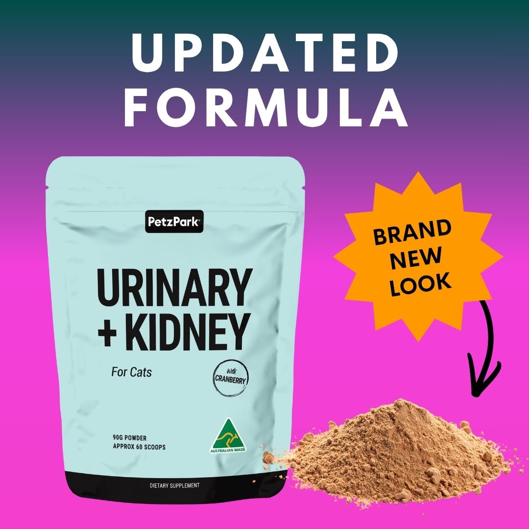泌尿腎臟保健 Urinary & Kidney