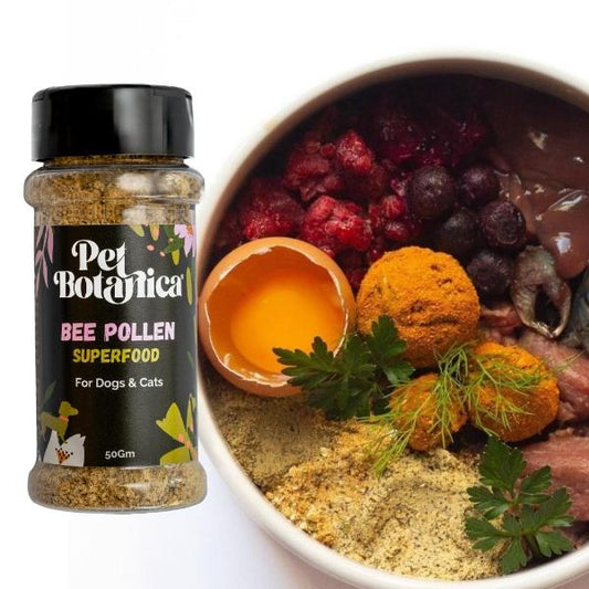 Pet Botanica - 蜂花粉超級食物 Bee Pollen Superfood