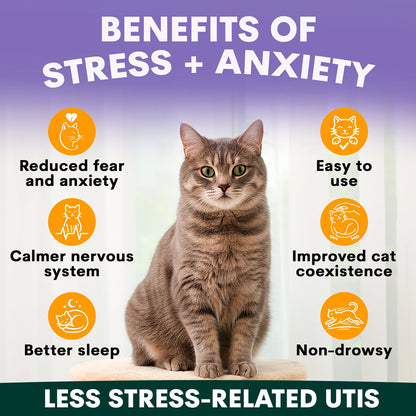 Petz Park - 貓咪舒壓套裝 Stress Less Bundle for Cats