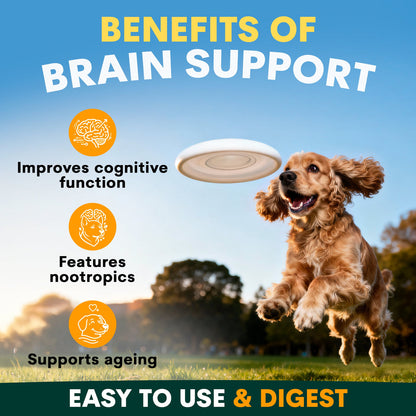 Petz Park - 狗狗腦部認知保健 Brain Support for Dogs