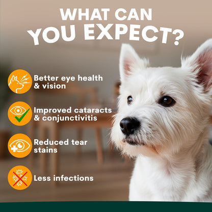 Petz Park - 狗狗護眼保健 Eye Support for Dogs