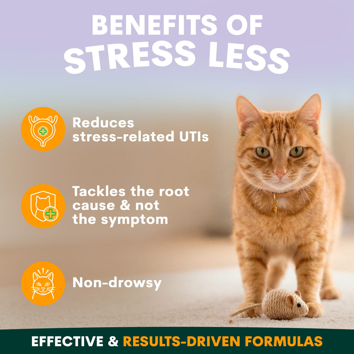 Petz Park - 貓咪舒壓套裝 Stress Less Bundle for Cats