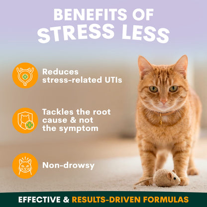 Petz Park - 貓咪舒壓套裝 Stress Less Bundle for Cats