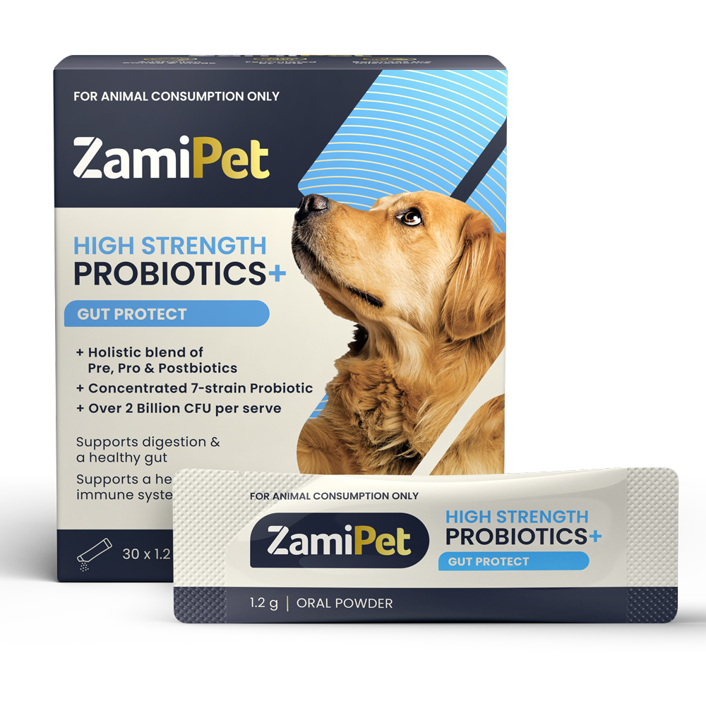 ZamiPet - 高效益生菌腸道保護 High Strength Probiotics+ Gut Protect