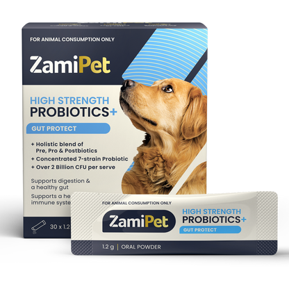 ZamiPet - 高效益生菌腸道保護 High Strength Probiotics+ Gut Protect