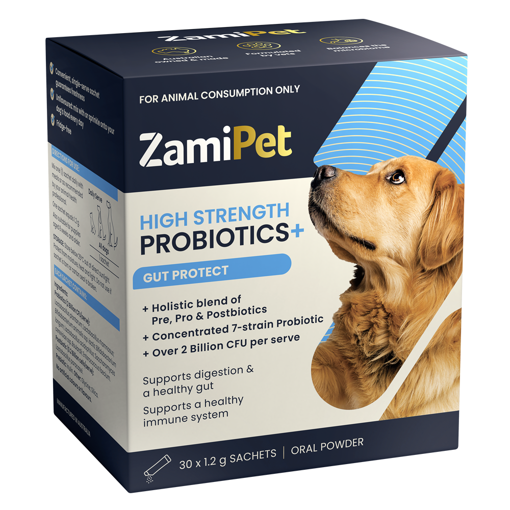 ZamiPet - 高效益生菌腸道保護 High Strength Probiotics+ Gut Protect