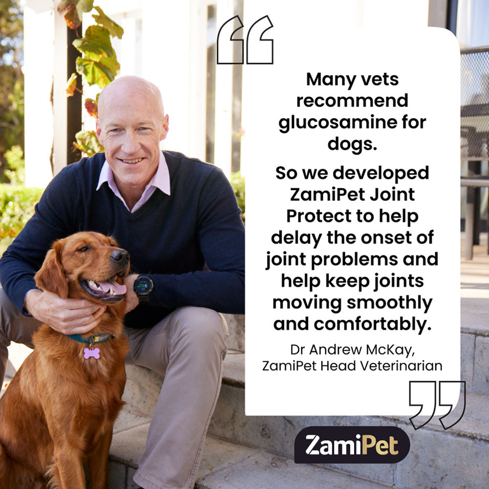 ZamiPet - 關節保健咀嚼片 Joint Protect Chewable