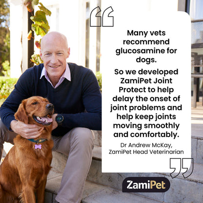 ZamiPet - 關節保健咀嚼片 Joint Protect Chewable