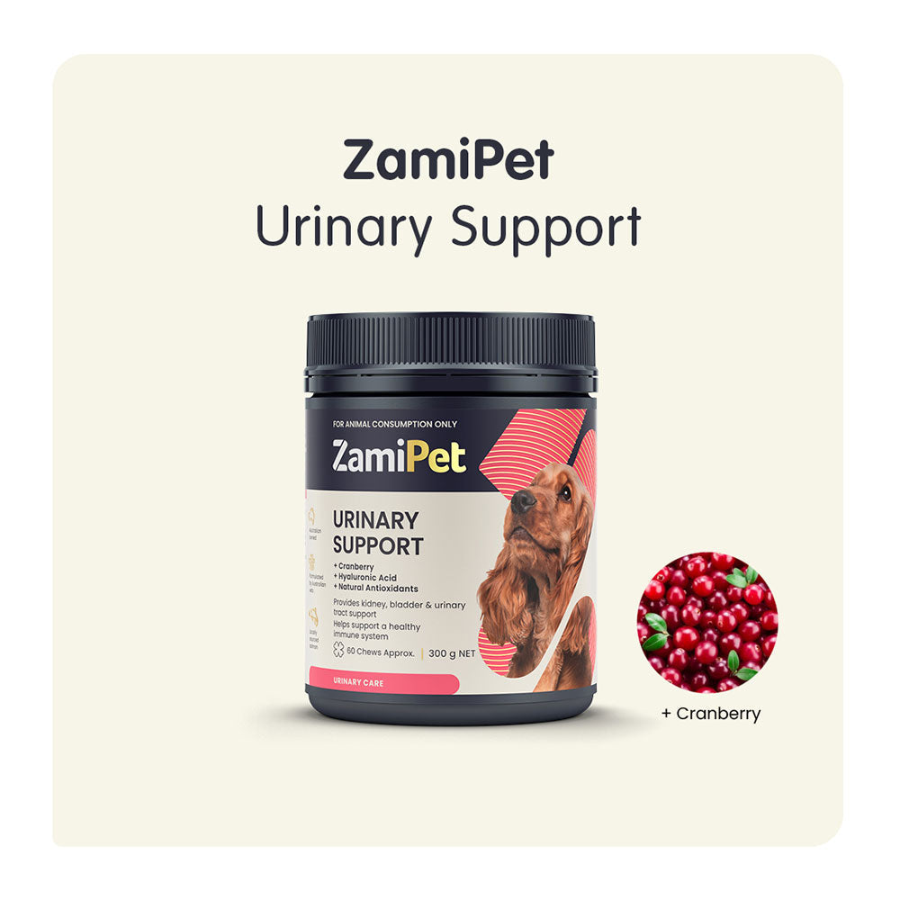 ZamiPet - 泌尿保健 Urinary Support for Dogs