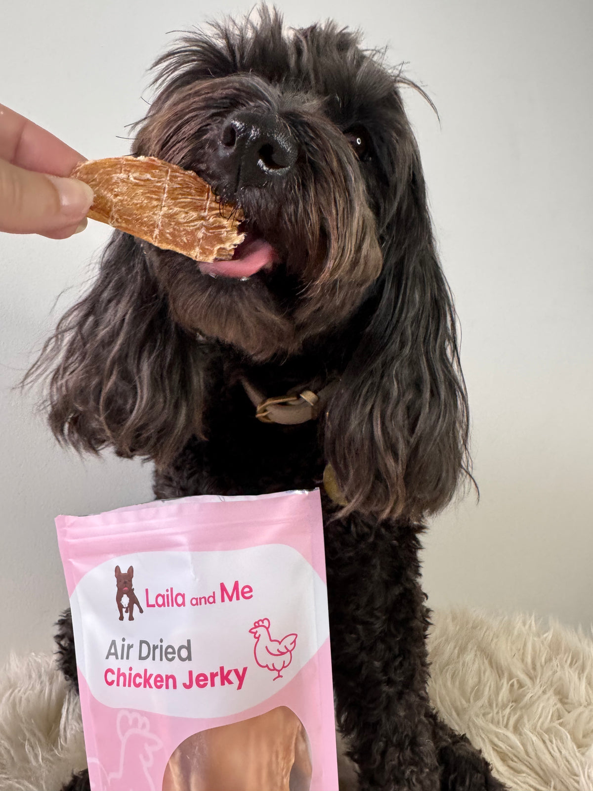 Laila and Me - 雞肉乾零食 Chicken Jerky